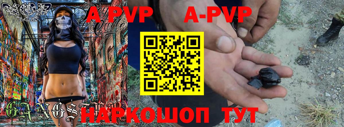Альфа ПВП СК КРИС Тосно