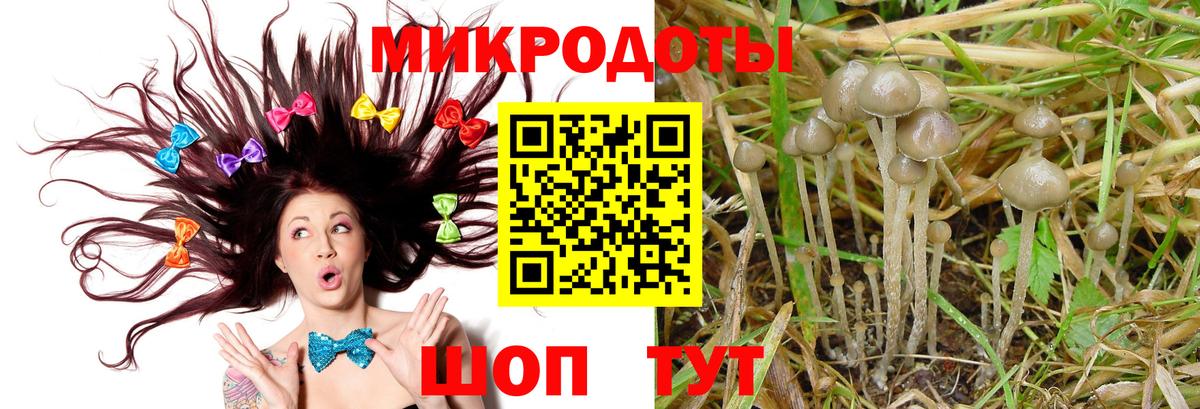 Галлюциногенные грибы Magic Shrooms Тосно