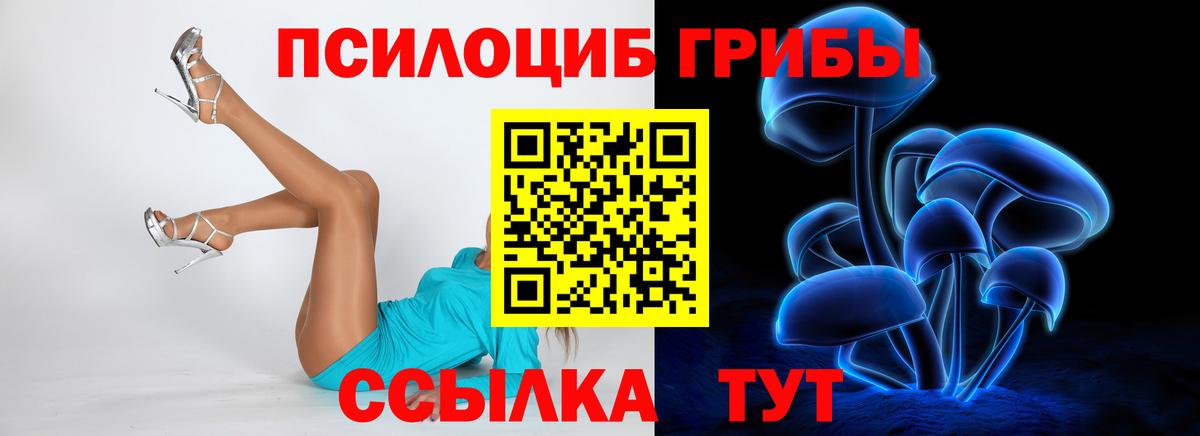 Тосно  Псилоцибиновые грибы Psilocybe  Вход с VPN 